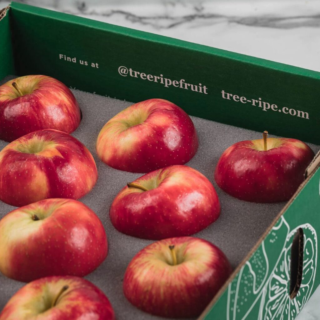 Wisconsin Honeycrisp Apples TreeRipe Fruit Co.