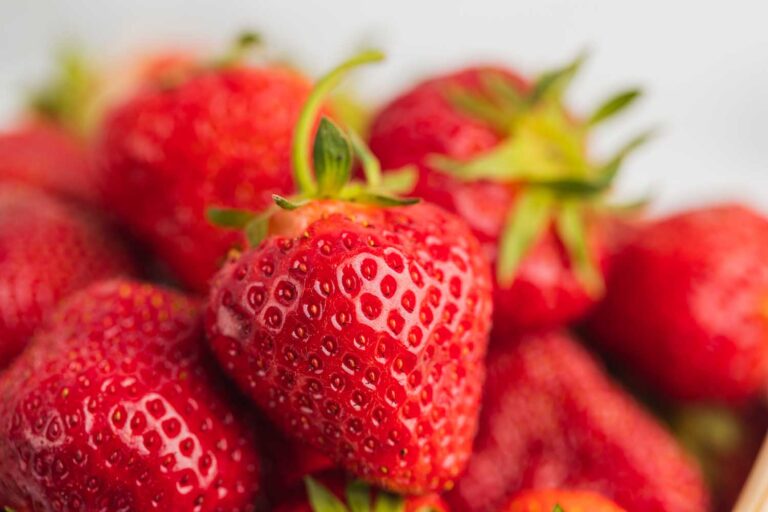 Michigan Strawberries