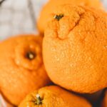 Florida Shiranui Mandarins