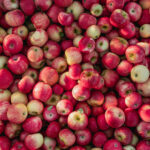 Wisconsin Honeycrisp Apples