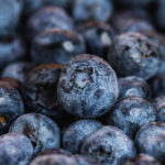 Michigan Blueberries