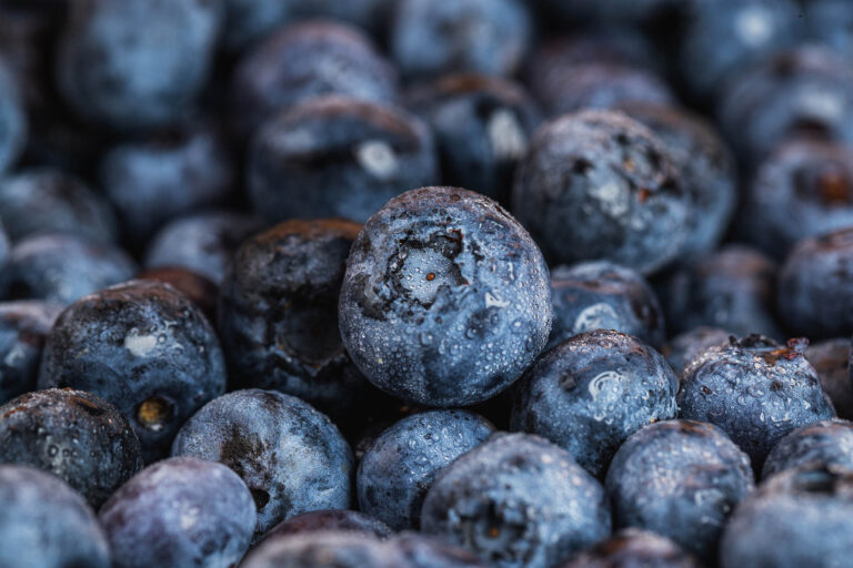 Michigan Blueberries