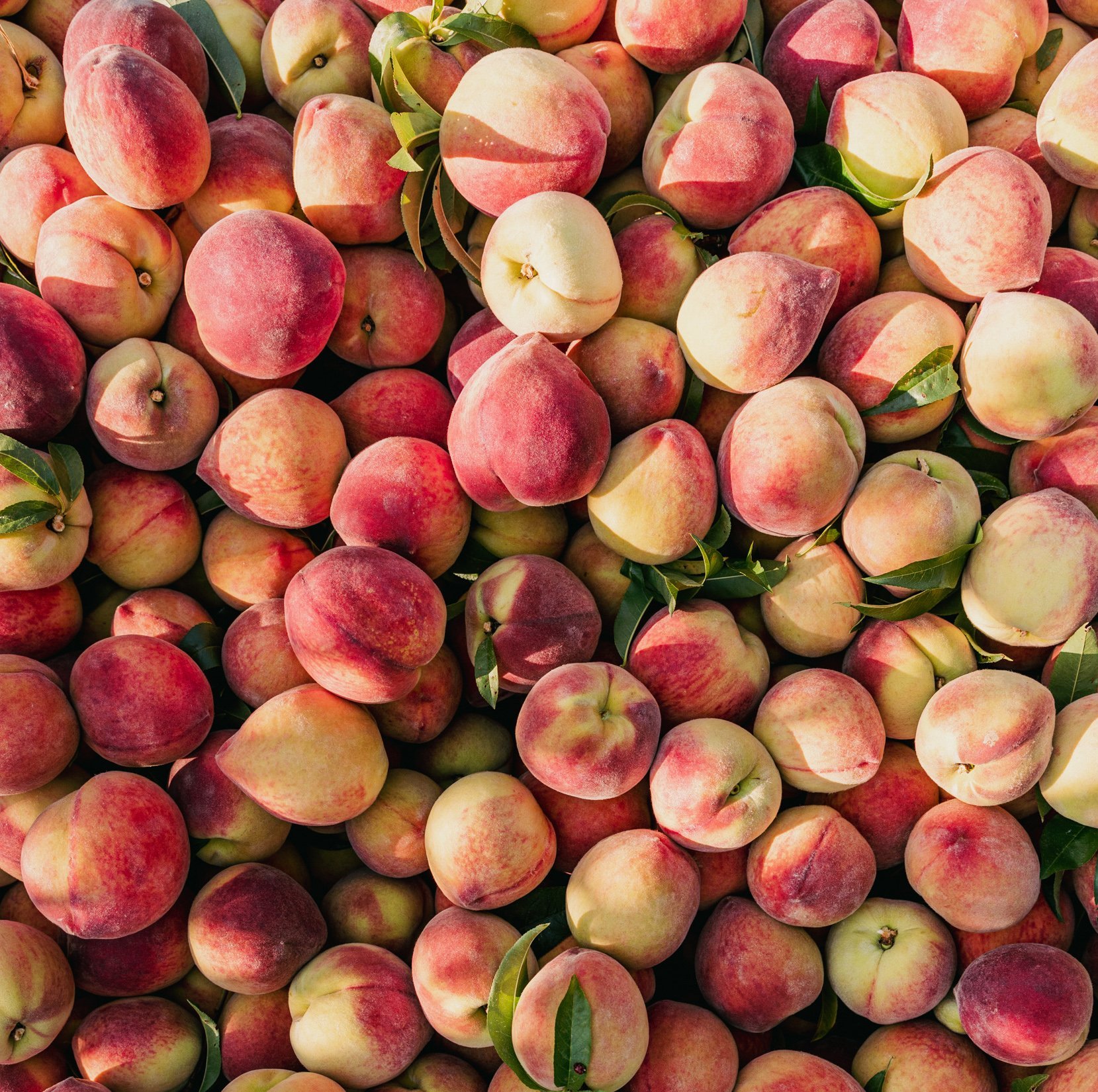 Best Georgia Peaches, Fresh Fruit Delivered