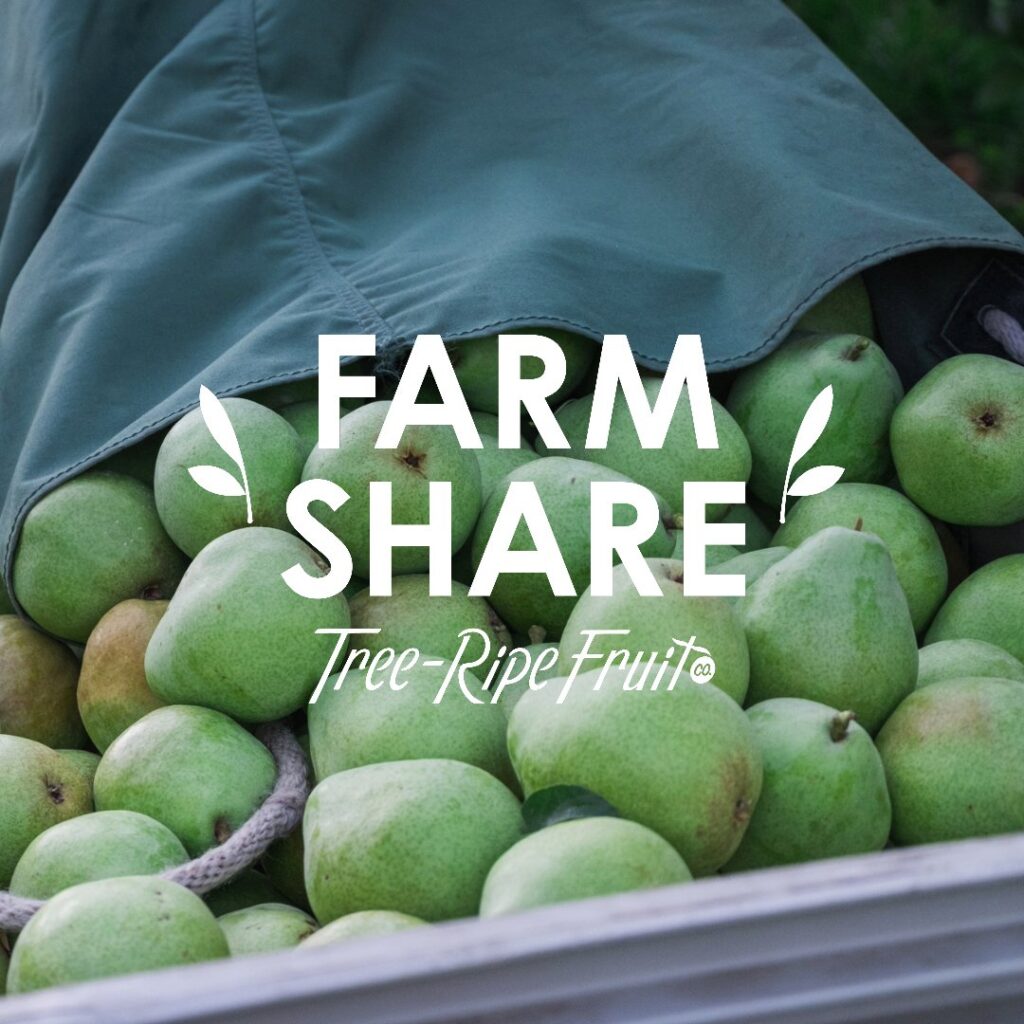 Farm Share Fall Box Fresh Fruit Delivered TreeRipe Fruit Co.