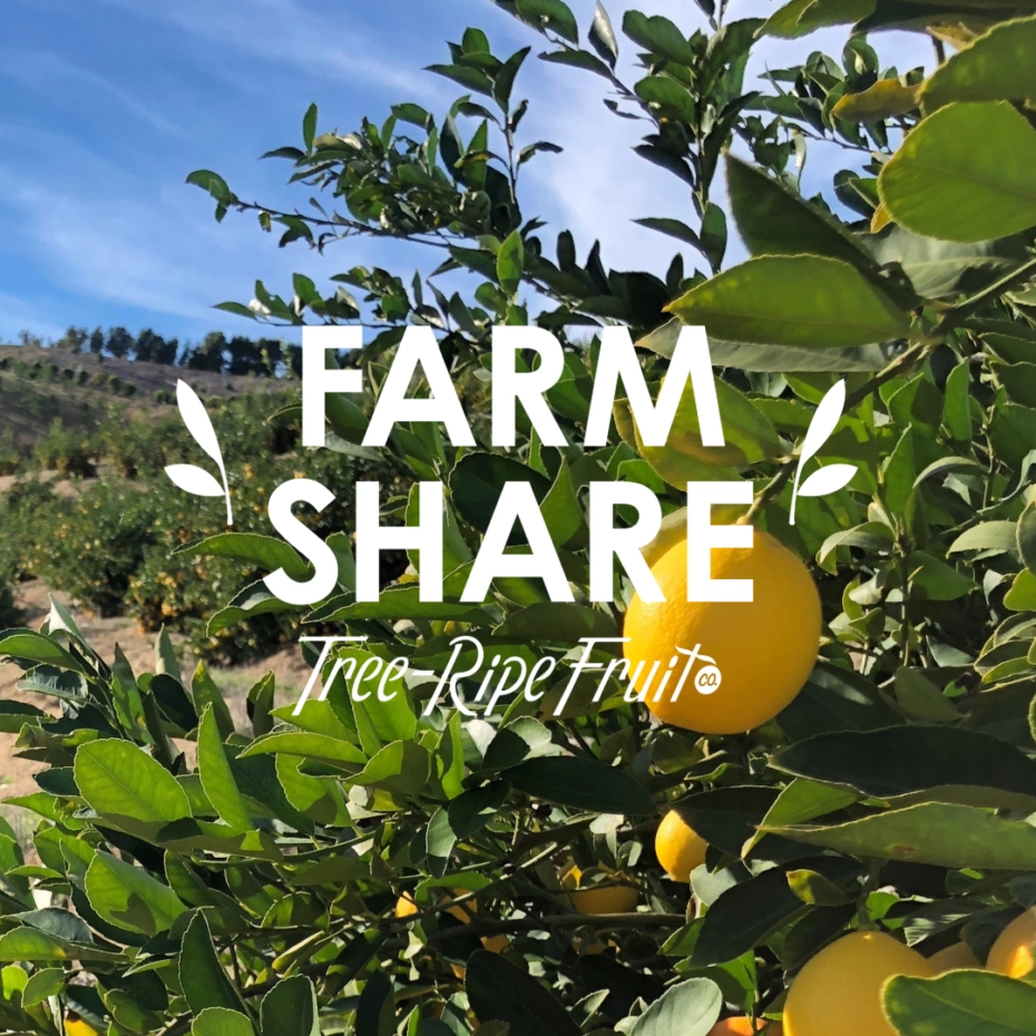Farm Share Spring Box