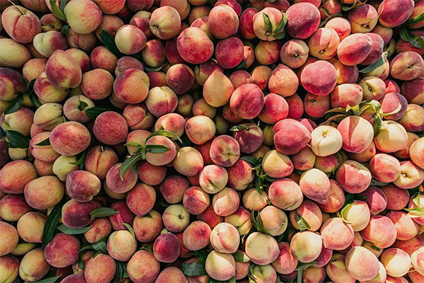Georgia Peaches