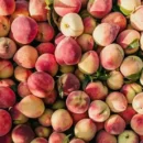Georgia Peaches