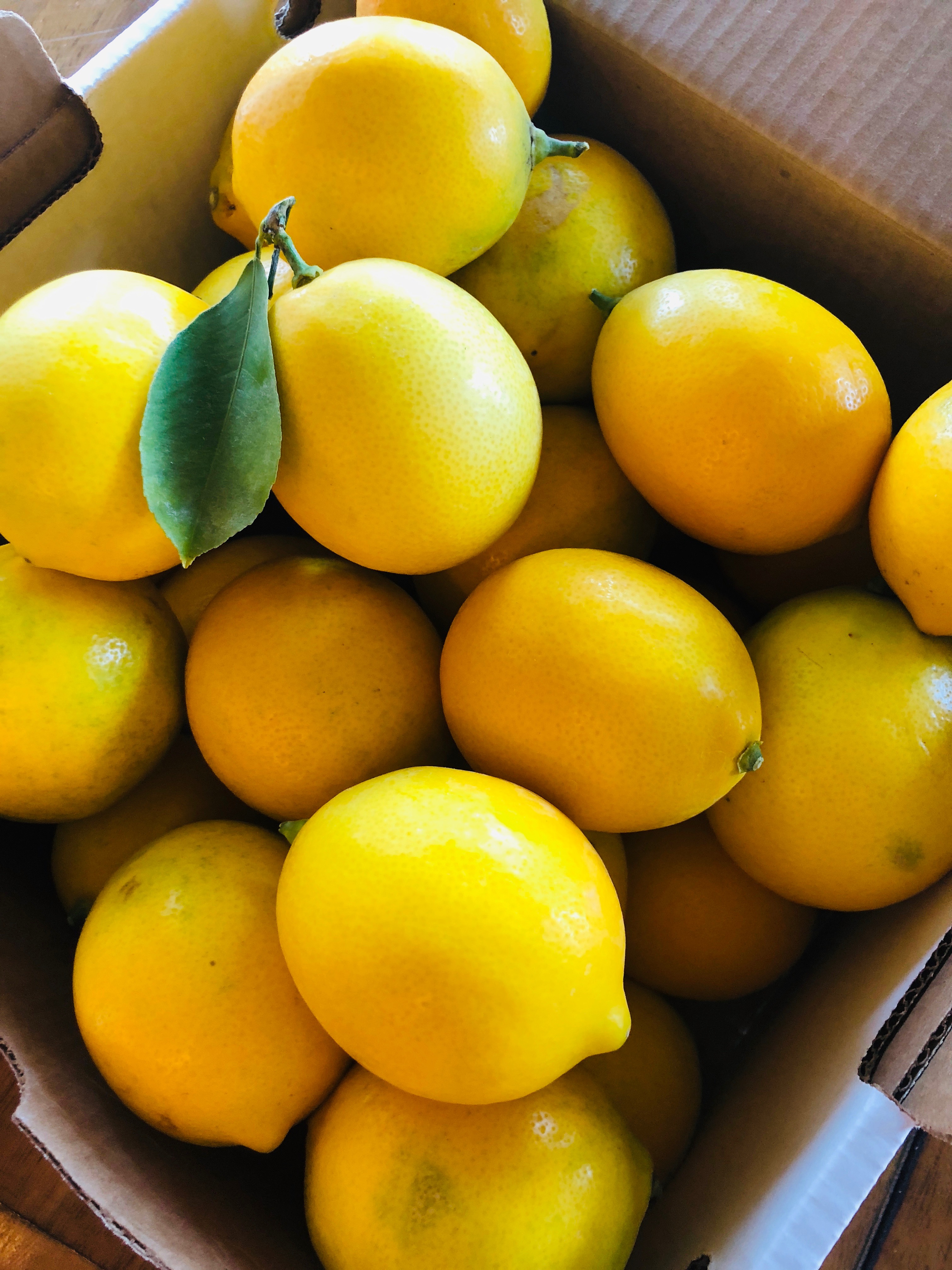 California Organic Meyer Lemons