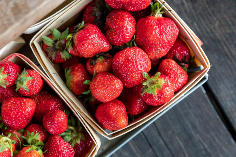 Florida Strawberries