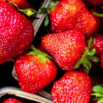Florida Strawberries