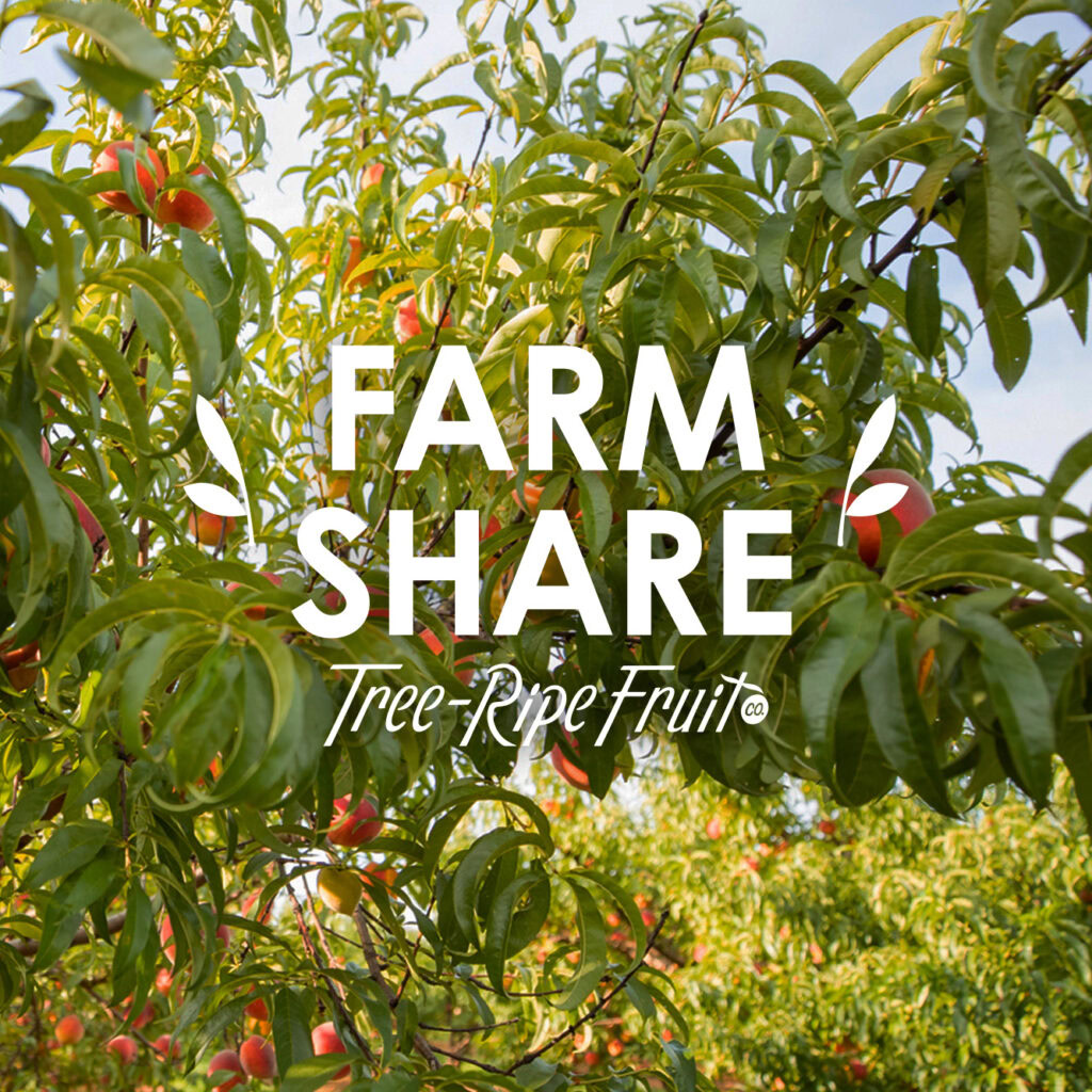 Farm Share Summer Box