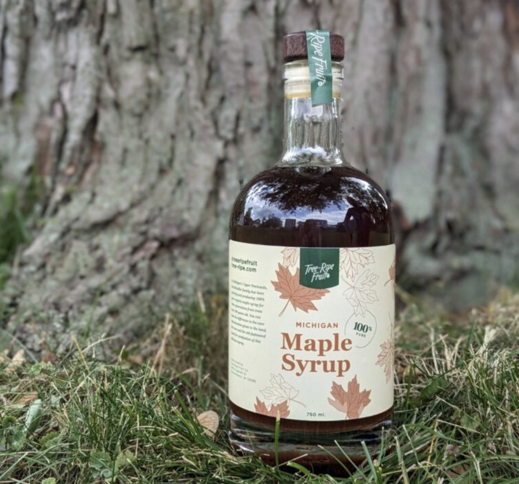 Michigan Maple Syrup