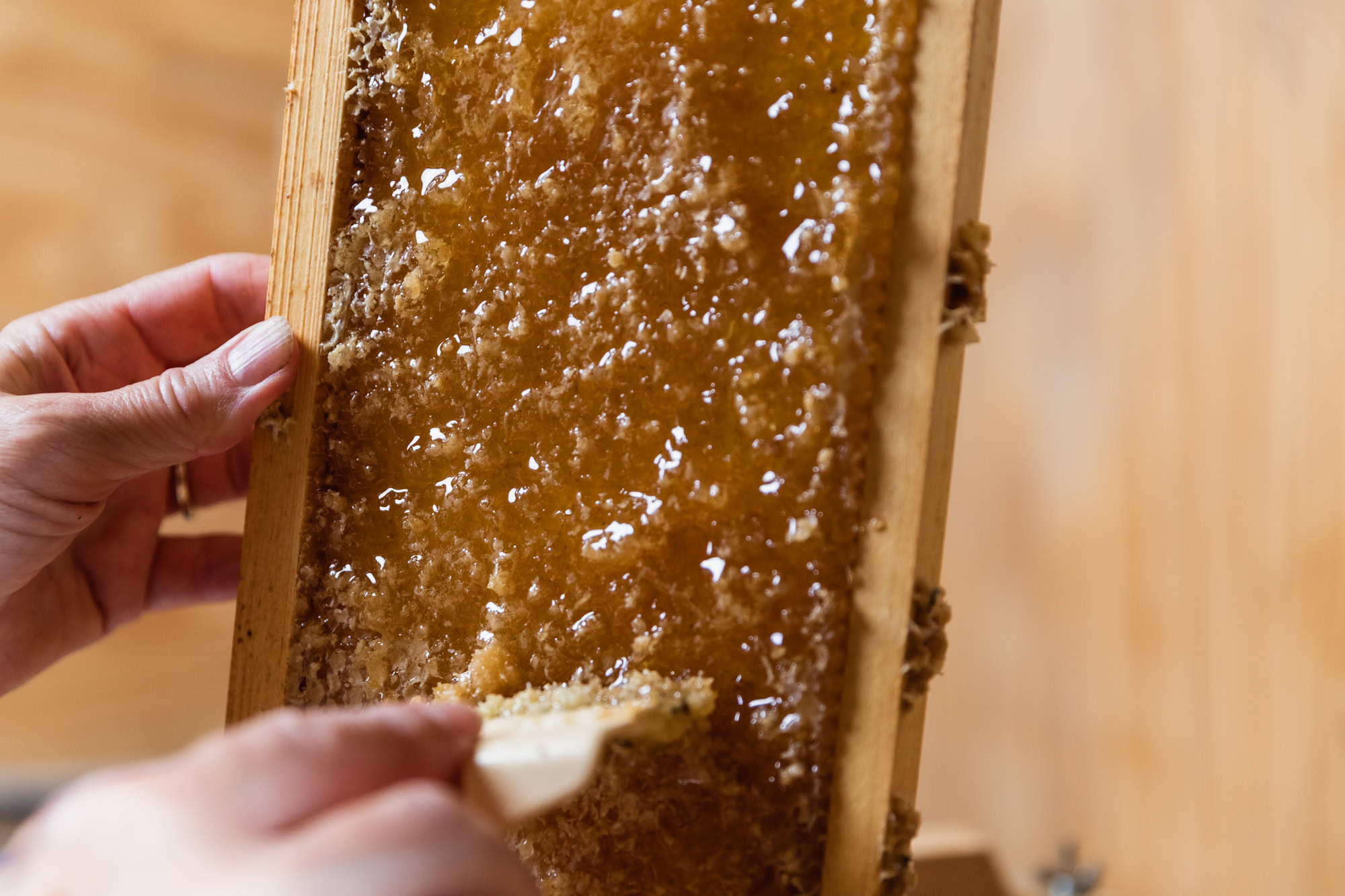 Uncapping a frame of honey at Harvest Place