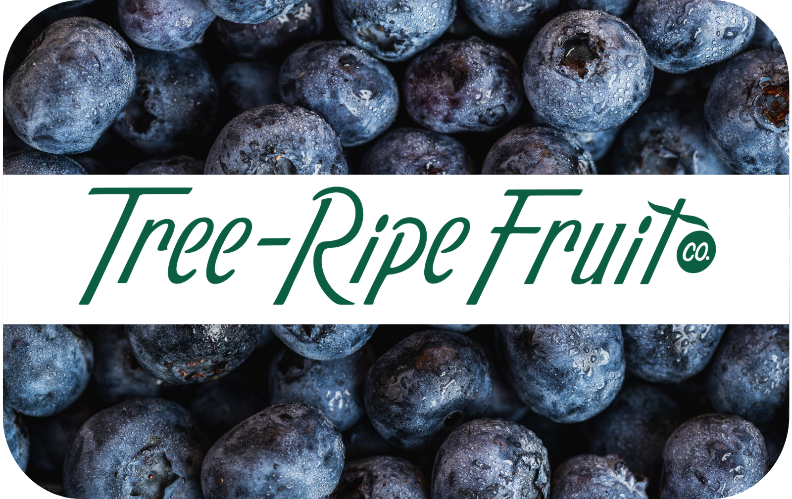Blueberries
